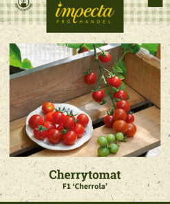 Cherrytomat F1 'Cherrola' Rød
