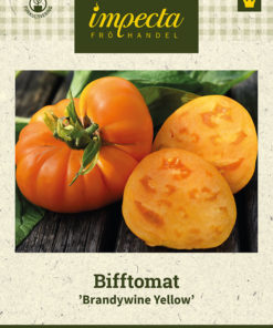 Bifftomat 'Brandywine Yellow' Gul