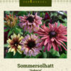 Sommersolhatt 'Sahara' Miksfarget