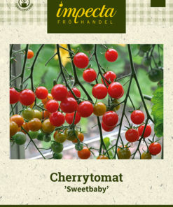Cherrytomat 'Sweetbaby' Rød