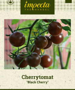 Cherrytomat 'Black Cherry' svart