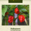 Habanero 'Scotch Bonnet' Rød