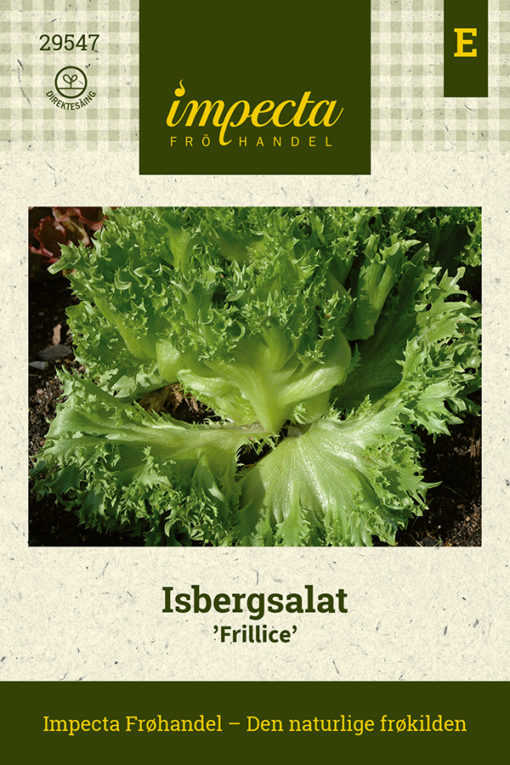 Isbergsalat 'Frillice' grønn