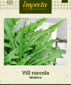 Vill ruccola 'Wildfire' grønn
