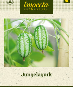 Jungelagurk grønn