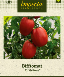 Bifftomat F1 'Grifone' Rød