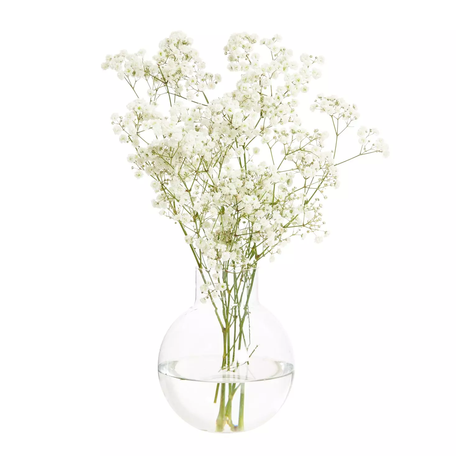 Bukett Gypsophilia - Brudeslør