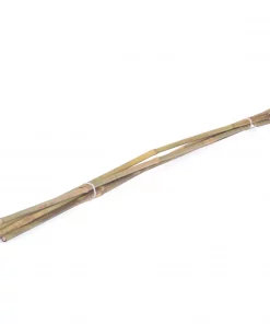 Bambusstav 100 cm 10pk