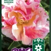 Kaliforniavalmue, Rosa Romantica