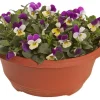 Stemor - Viola 27 cm skål