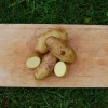 Settepotet 'Mandel' 2,5 kg