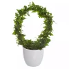 Hedera - Eføy bøyle 12 cm