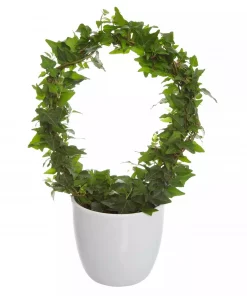 Hedera - Eføy bøyle 12 cm