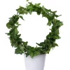 Hedera - Eføy bøyle 17 cm
