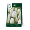 Tulipan, Triumf, White Marvel