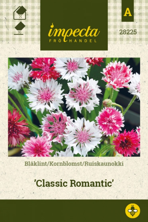 Kornblom 'Classic Romantic'