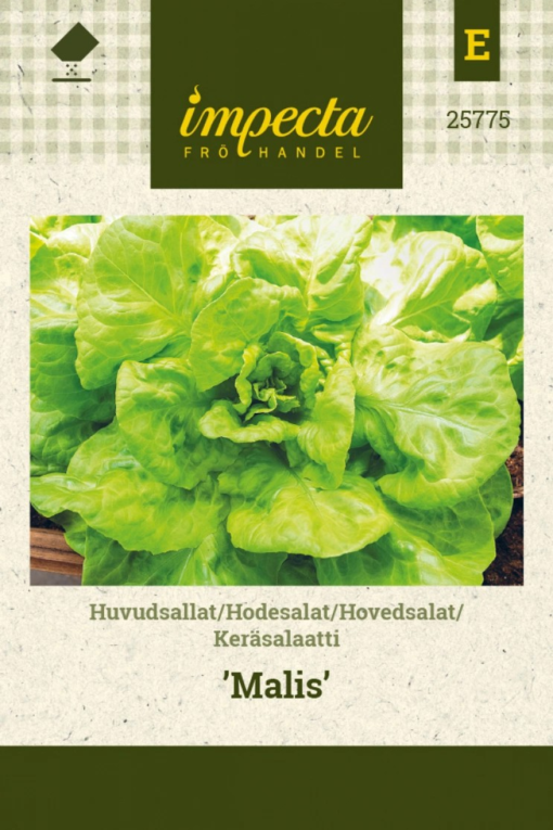 Hodesalat 'Malis'