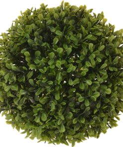 Buxus Ball Ø18