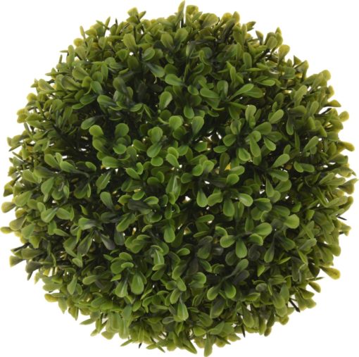 Buxus Ball Ø18