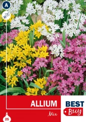 Allium mix