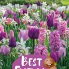 Best Friends Pastel Harmony - Høstløk mix