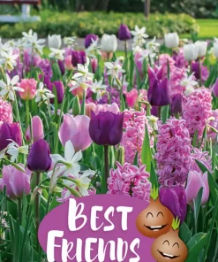 Best Friends Pastel Harmony - Høstløk mix