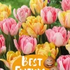Best Friends Peony Pleasures - Høstløk mix