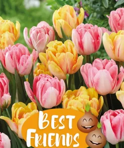 Best Friends Peony Pleasures - Høstløk mix