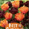 Best Friends Pretty Pumpkins - Høstløk mix