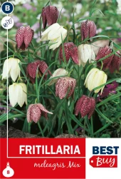 Fritillaria Meleagris mix - Rutelilje