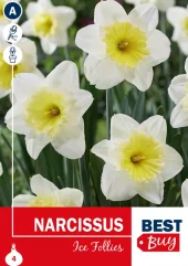 Narsiss 'Ice Follies' - Påskelilje