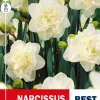 Narsiss 'Obdam' - Påskelilje