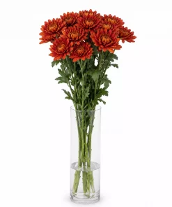 Bukett Krysanthemum