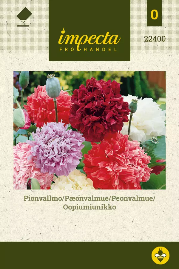 Papaver somniferum - Peonvalmue