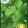 Portulakk, Vinter-