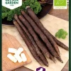 Skorsonerrot, Duplex, Organic