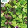 Kal, Pak Choi, Mix