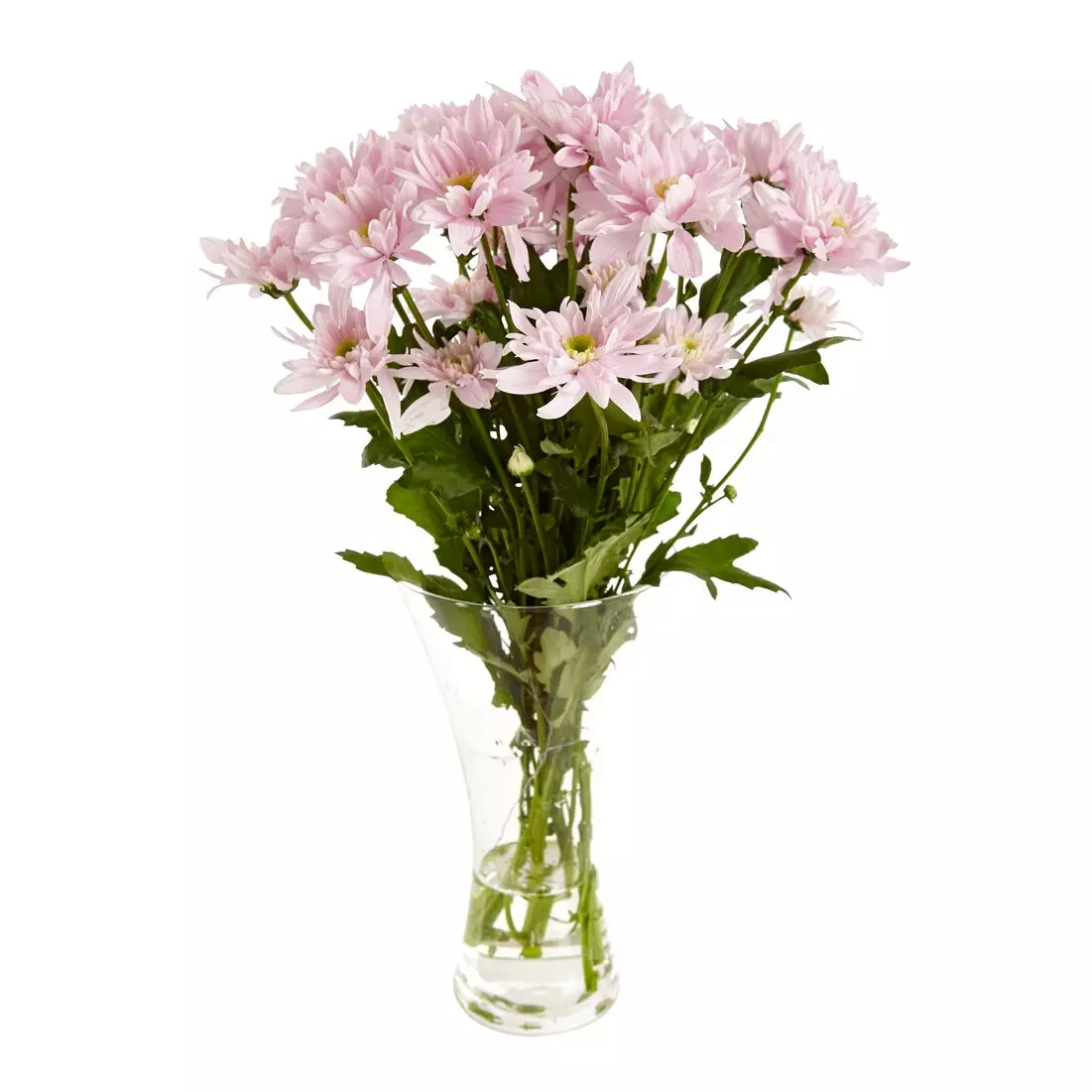 Bukett Krysanthemum