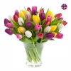 Bukett Tulipaner 20 pk