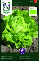 Salat, Hode-, Suzan, Organic