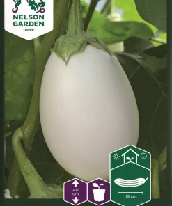 Aubergine, Gaia F1