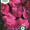Flittig Lise, Athena Bright Purple F1