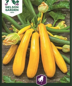Squash, Yellowstar F1
