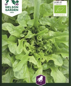 Salat, Plukk-, Catalonga, Organic