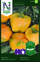 Paprika, Cuneo Giallo