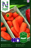 Paprika, Potte-, Hamik