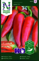 Chilipepper, Japo F1