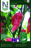 Havannapeppar, Draco Red