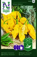 Havannapeppar, Draco Yellow
