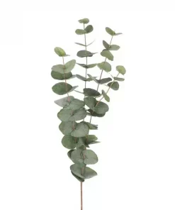 Eucalyptus flergrenet